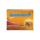 GRANEODIN-B MIEL-LIMON 24 PAST
