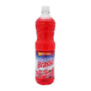 Brasso frutos exoticos 900 ml