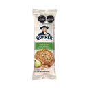 Galletas avena manzana 60 gr