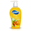 Jabon para manos antibacterial mango 300ml